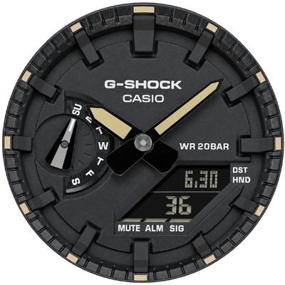 GA-2100CM-5A