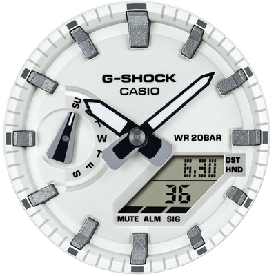 GA-2100WD-1A